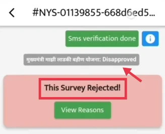 Ladki Bahin Yojana Form Rejected